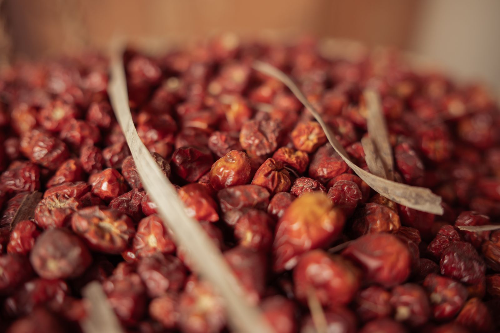 Close-up of dried red jujube dates
